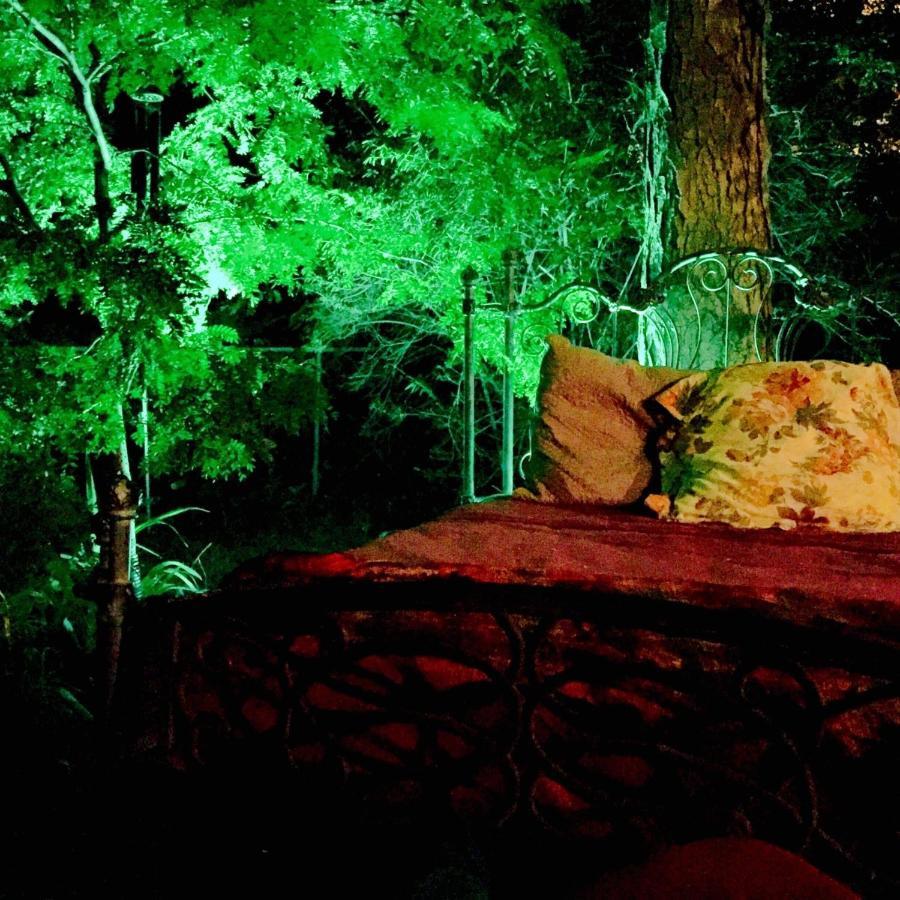 Mystic Portal 420 Guesthouse Κολοράντο Σπρινγκς Εξωτερικό φωτογραφία