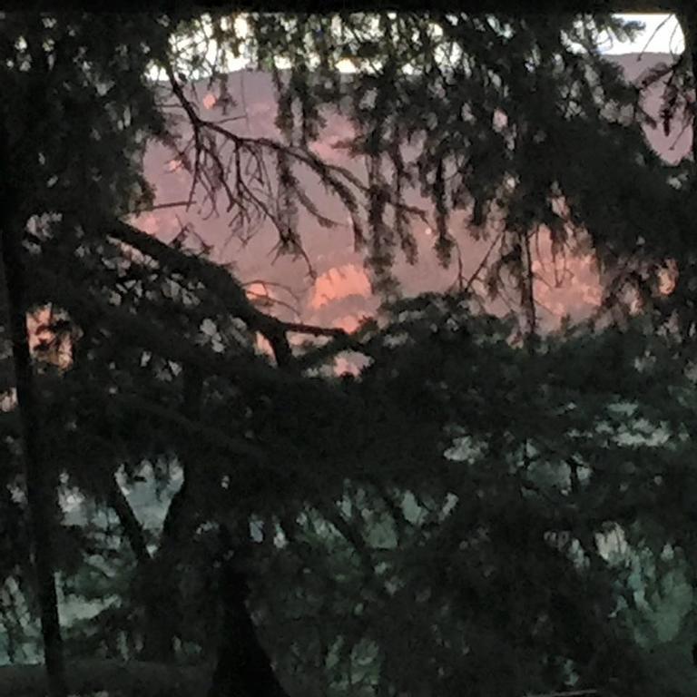 Mystic Portal 420 Guesthouse Κολοράντο Σπρινγκς Εξωτερικό φωτογραφία